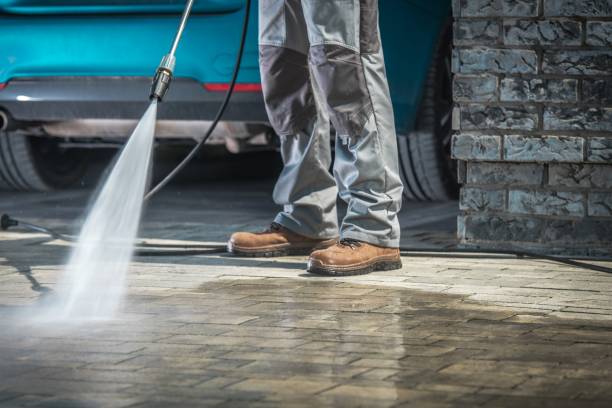Best Soft Washing  in Prior Lake, MN
