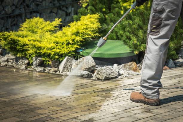 Pre-Holiday Cleaning in Prior Lake, MN
